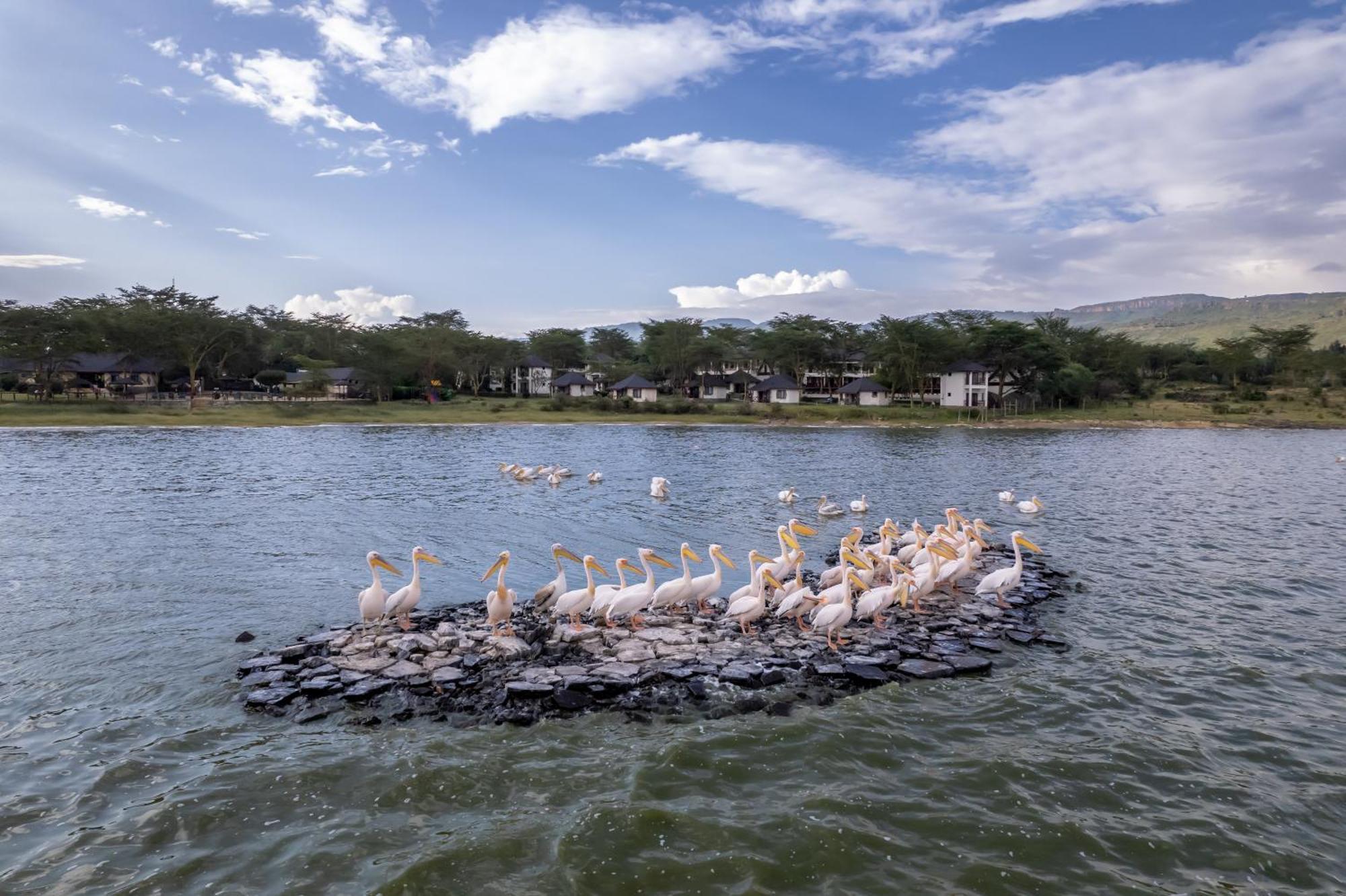 Sentrim Elementaita Lodge Elmenteita ภายนอก รูปภาพ
