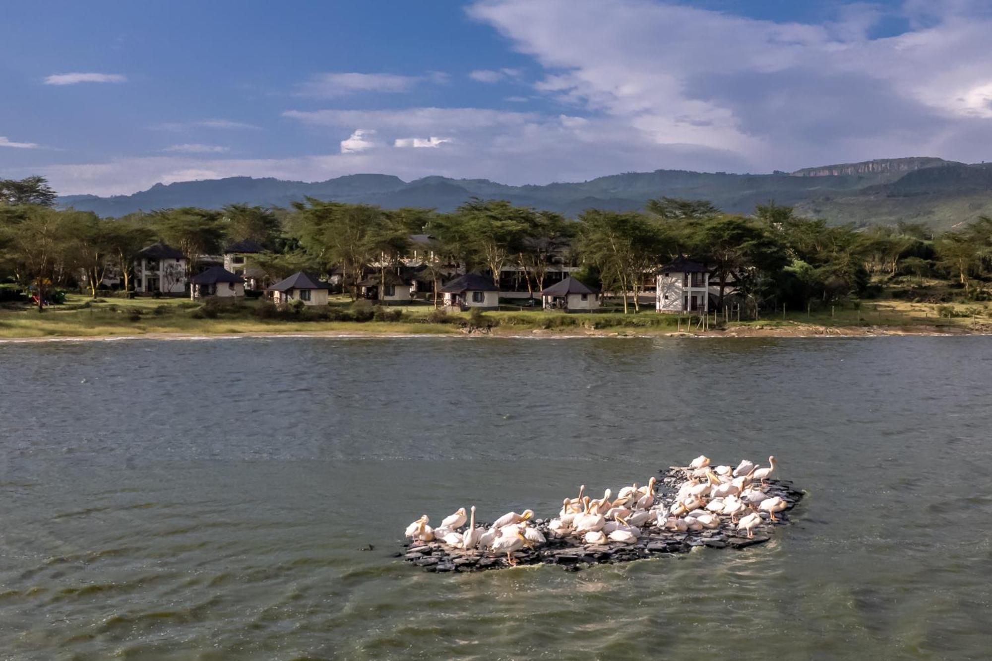 Sentrim Elementaita Lodge Elmenteita ภายนอก รูปภาพ